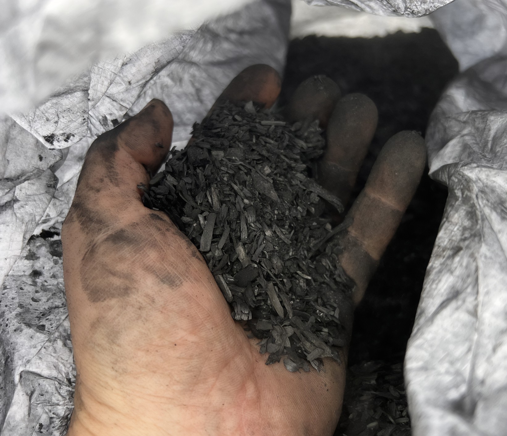 Biochar produced from dry feedstock