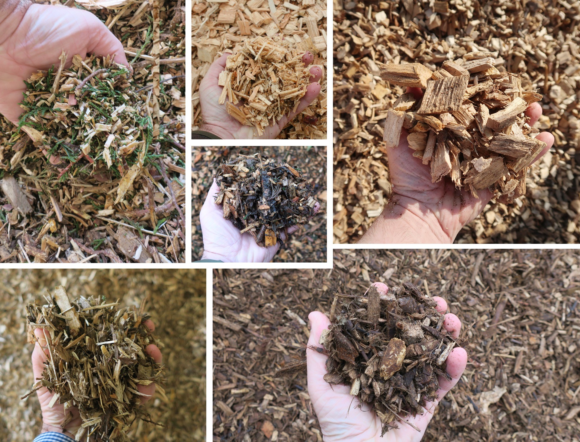 Variety of woody sawmill by-products