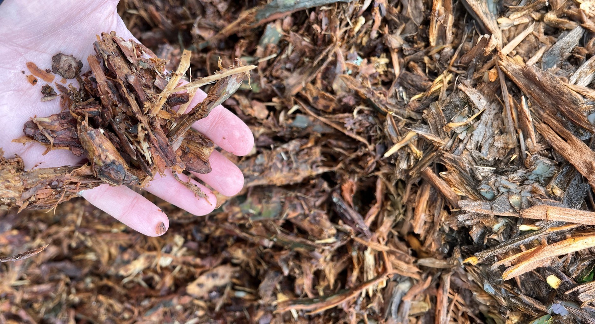 Drying Bark with FlowDrya