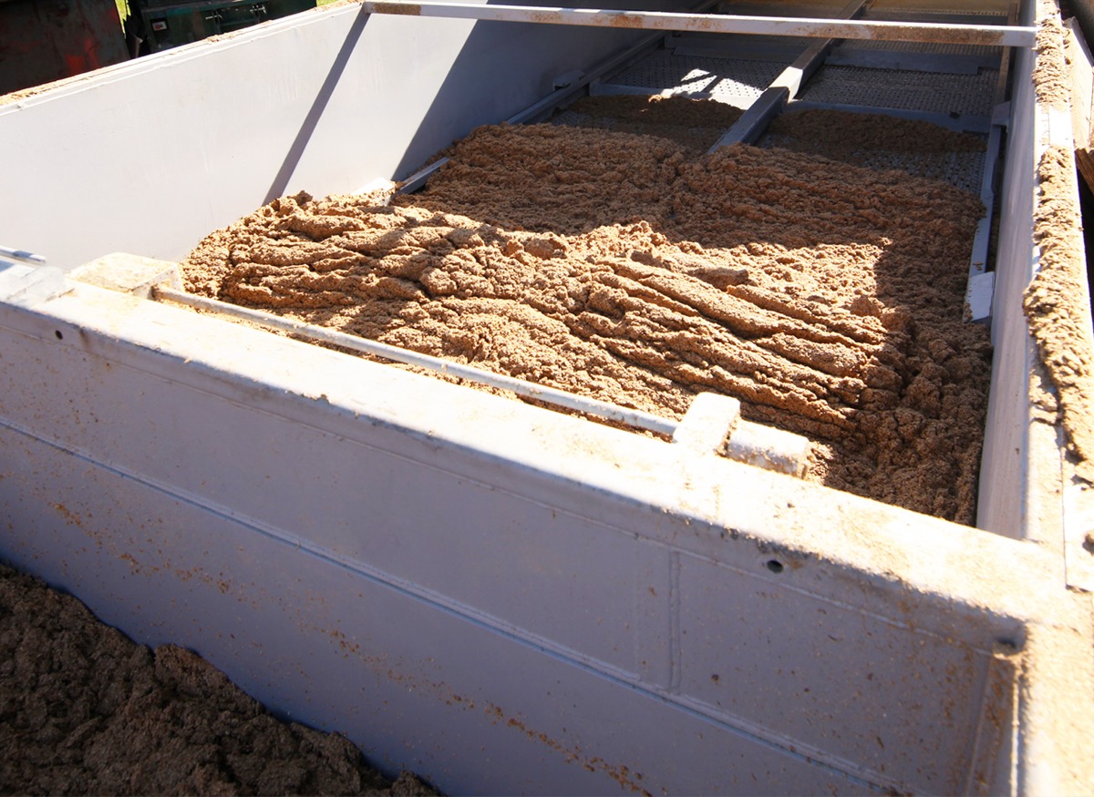 Brewers' grain spread across FlowDrya drying bed showing PulseWave agitation pattern