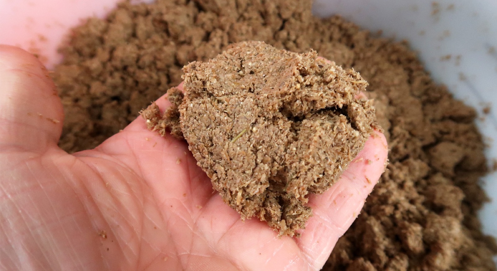Drying Brewers' Grain and Distillers' Draff with FlowDrya