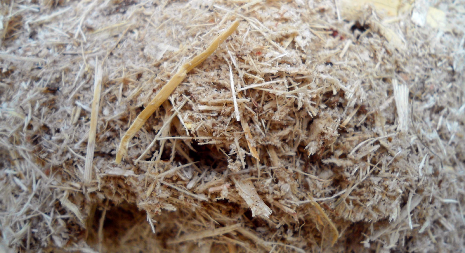 Drying Chopped Bagasse with FlowDrya