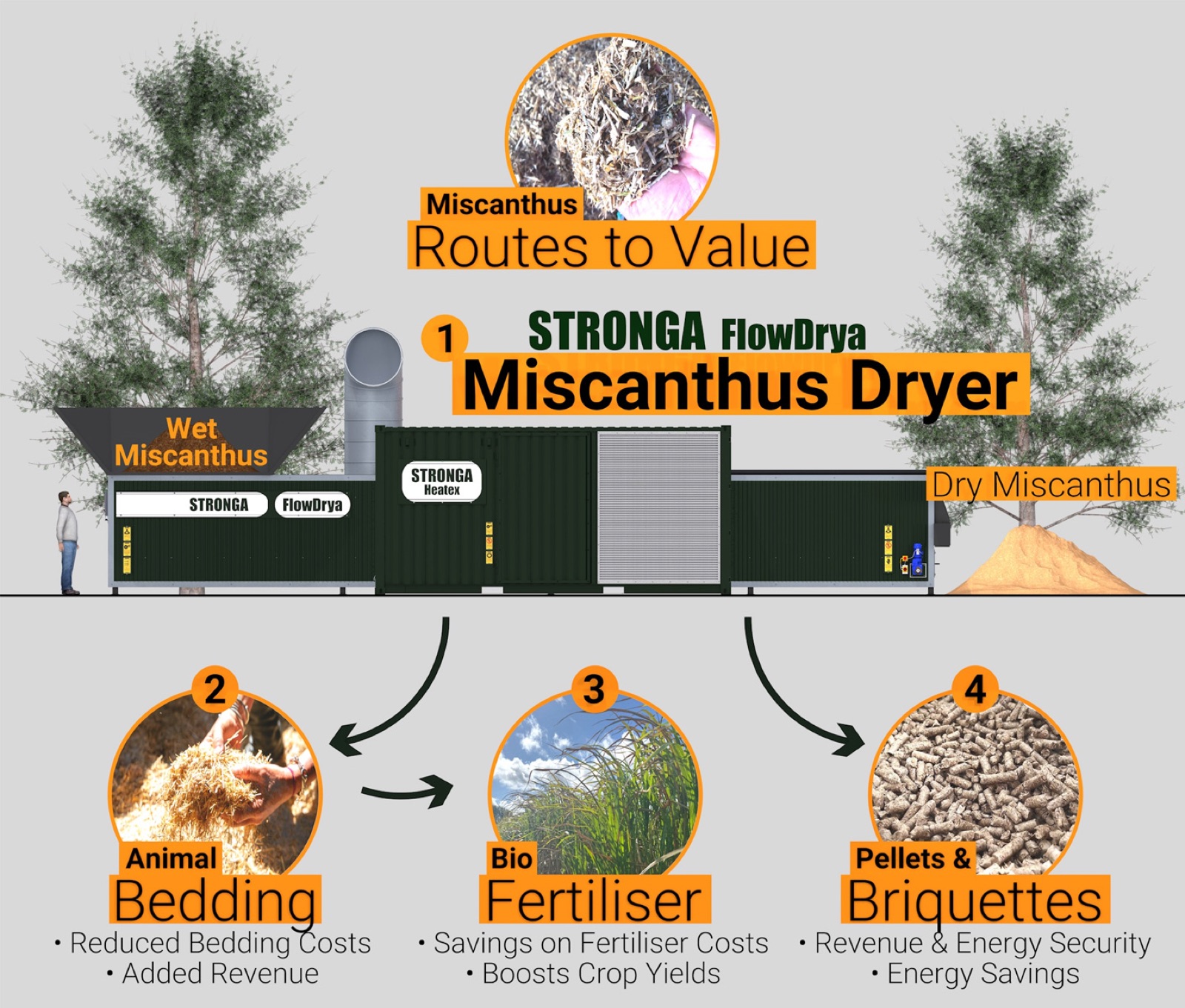 Miscanthus Routes to Value infographic: STRONGA FlowDrya Miscanthus Dryer producing animal bedding, bio fertiliser, and pellets and briquettes
