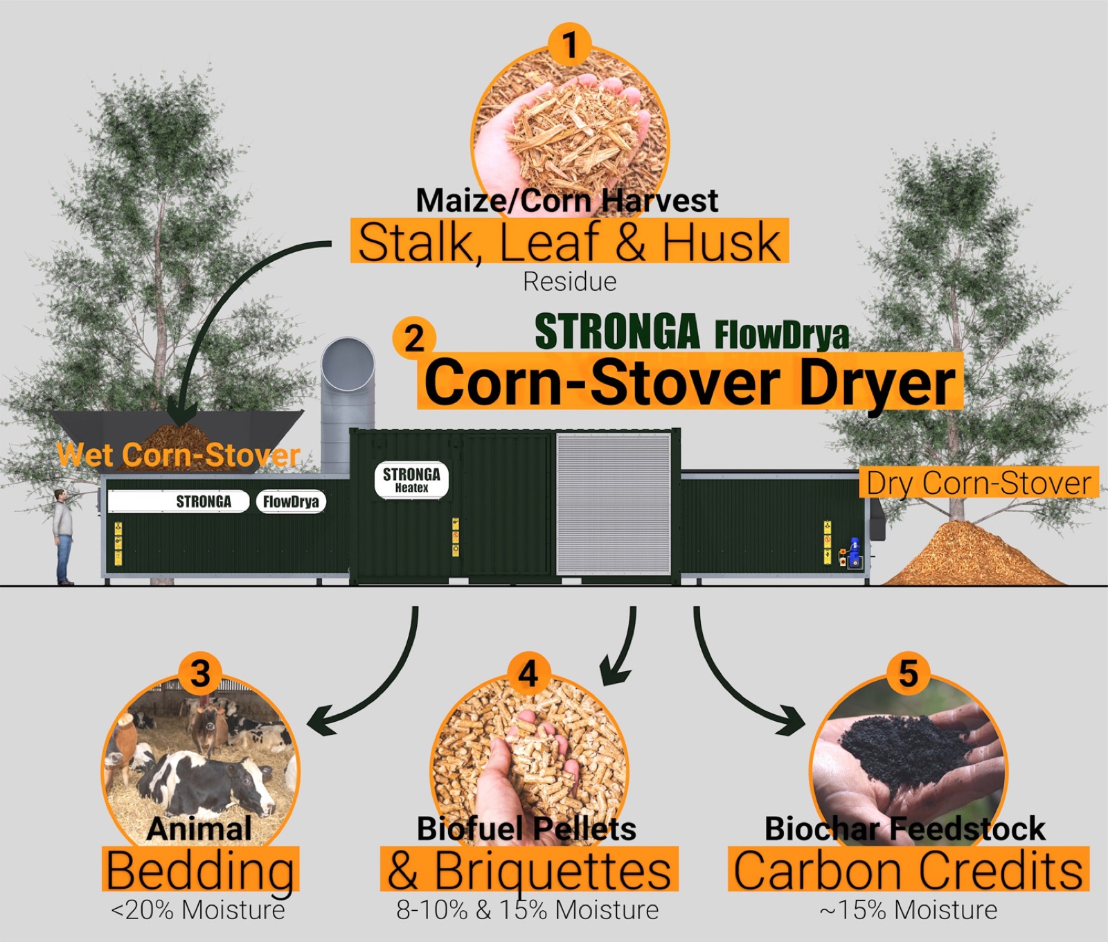 Corn-Stover Routes to Value infographic: STRONGA FlowDrya Corn-Stover Dryer producing animal bedding, biofuel pellets and briquettes, and biochar feedstock