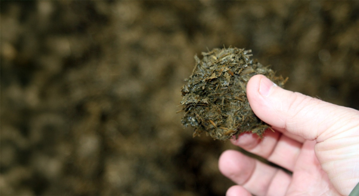 Drying Digestate Fibre with FlowDrya
