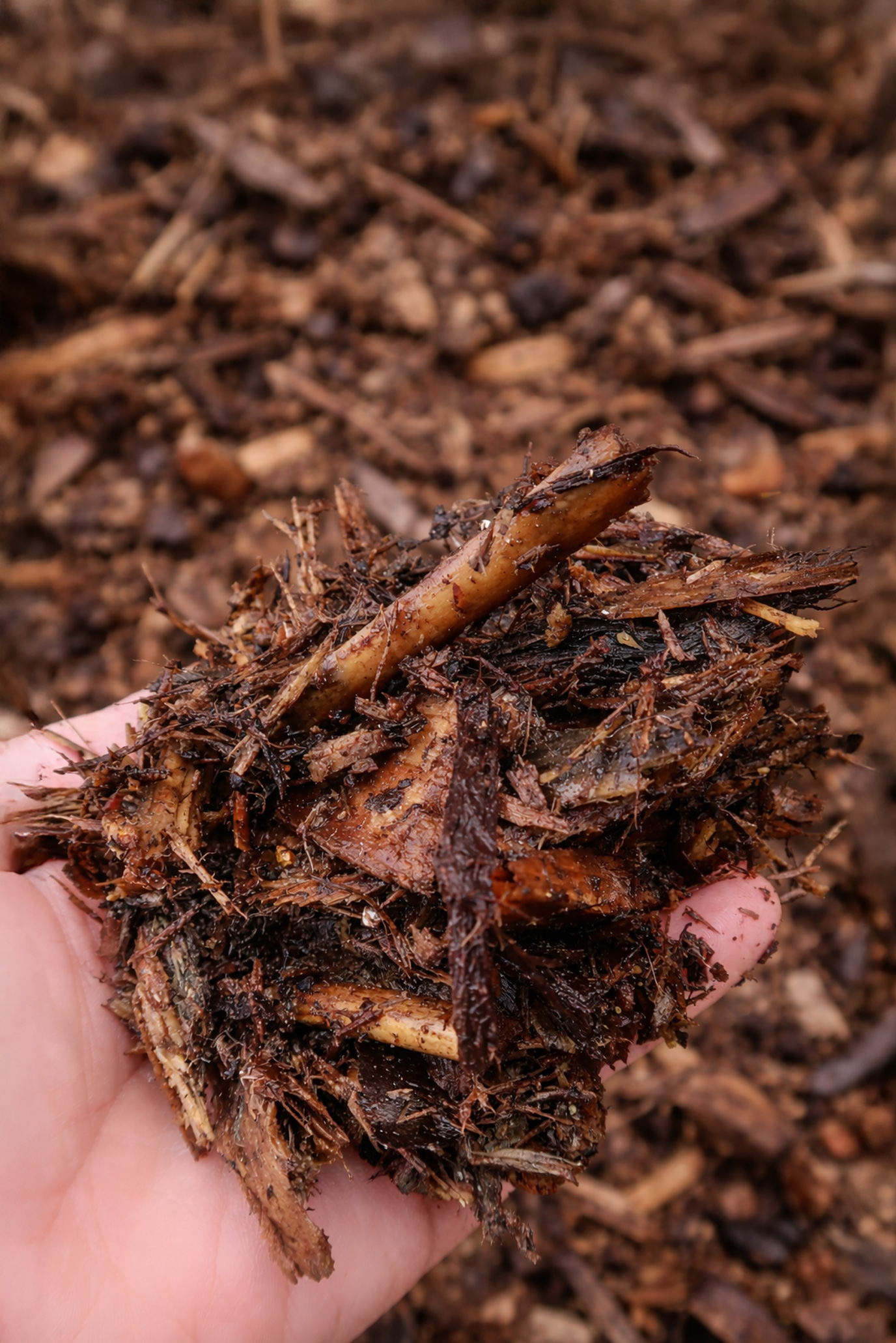 Drying Processed Waste Wood with FlowDrya
