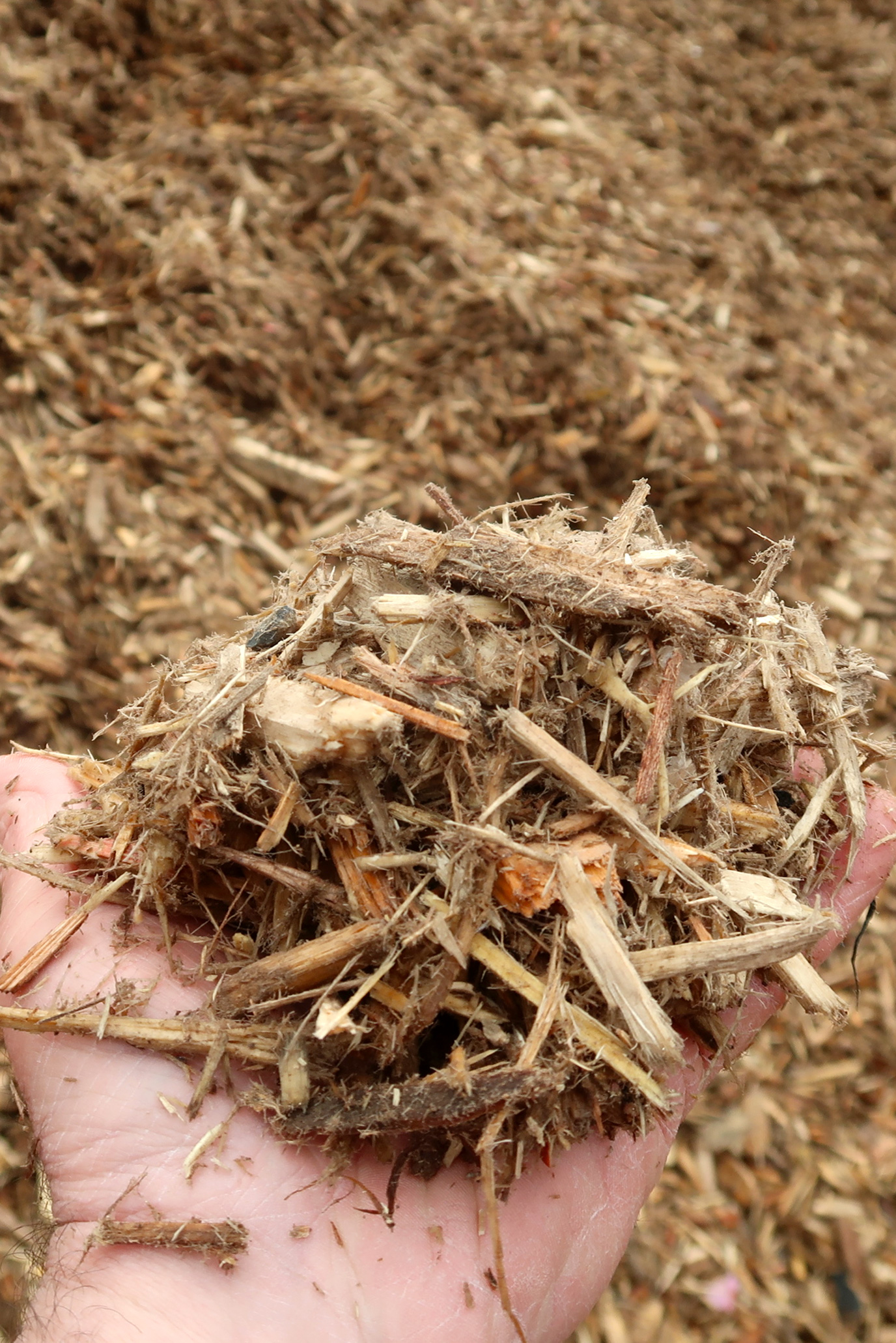 Drying Shredded Pallet Wood with FlowDrya