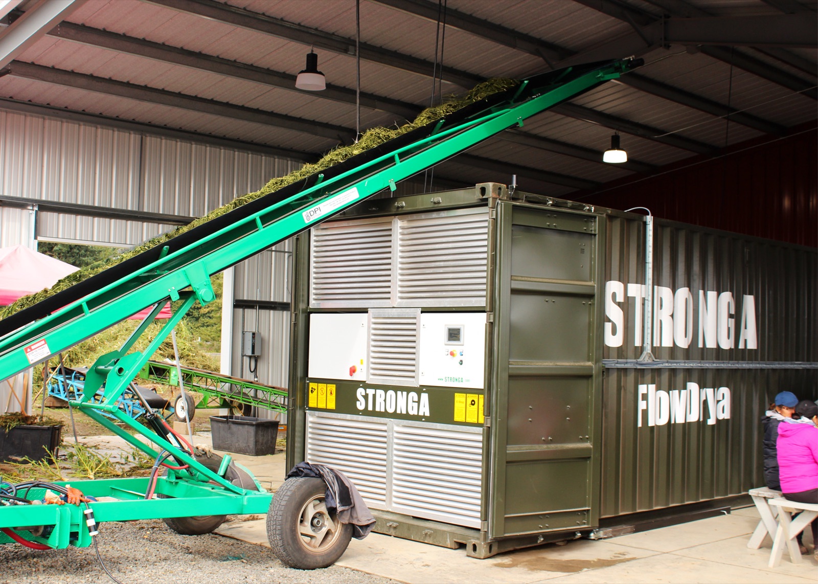 STRONGA FlowDrya container being loaded with freshly chopped hemp via inclined conveyor