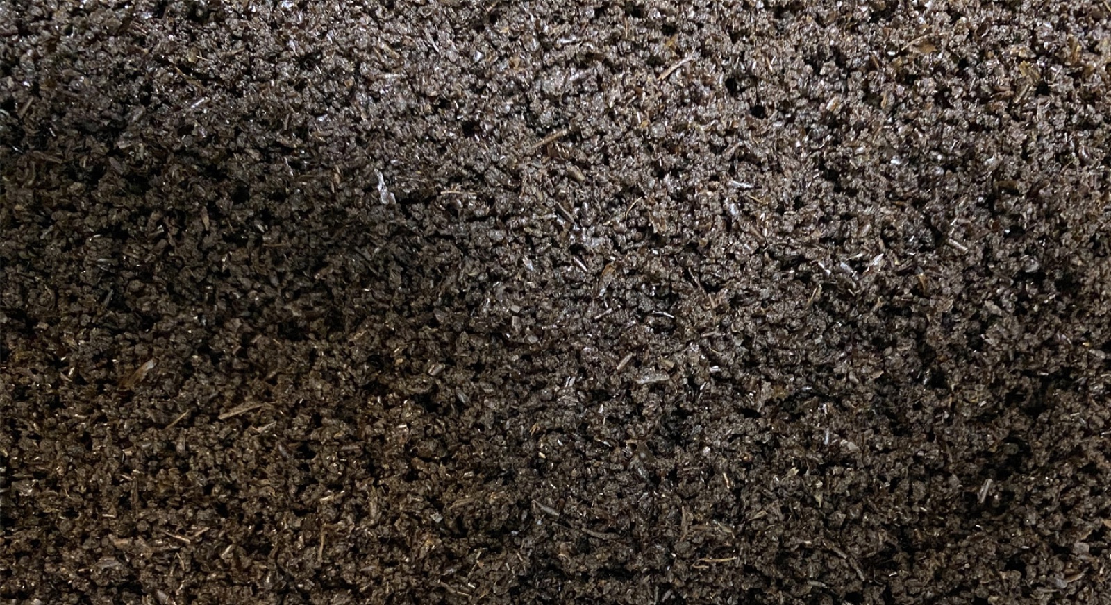 Drying Black Soldier Fly Frass (Insect Frass) with FlowDrya