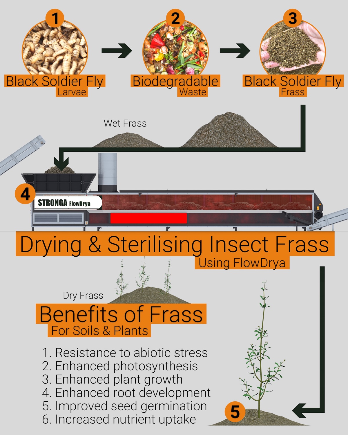Infographic: Drying and sterilising insect frass using FlowDrya — process from BSF larvae through biodegradable waste to BSF frass, with benefits for soils and plants