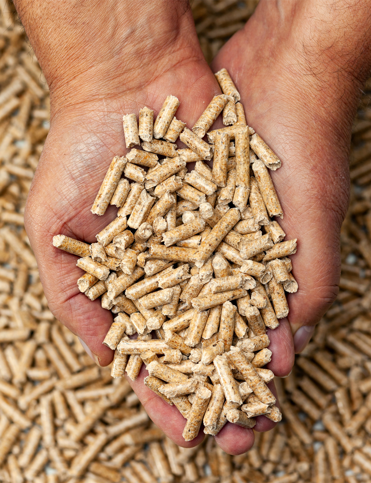 Wood pellets produced from dried pallet wood