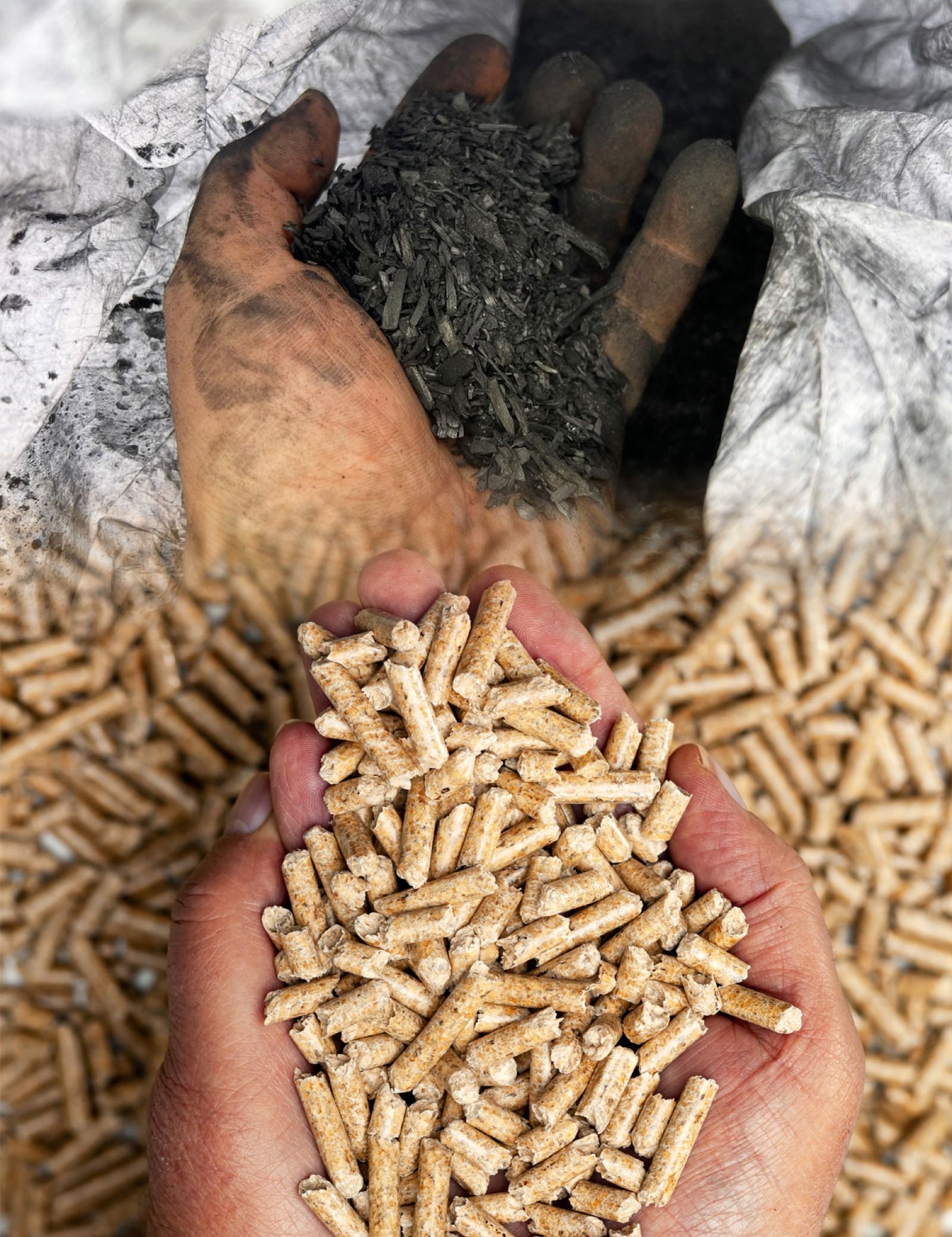 Biochar and wood pellets produced from dried woodchip